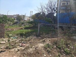 Plot Area in  Plot at Sorkha – for Sale