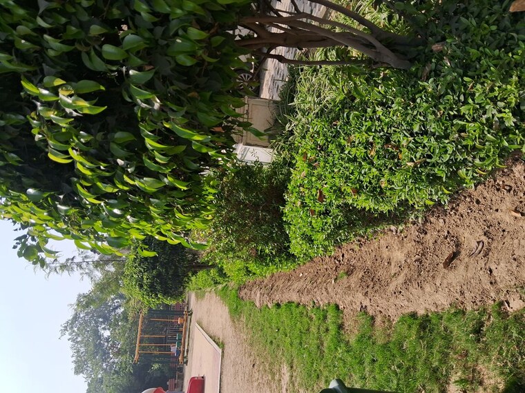 Garden, mittal-rajnagar-residency 3 Bedroom 1380 Sq.Ft. Apartment In Raj Nagar Extension Ghaziabad 10071480