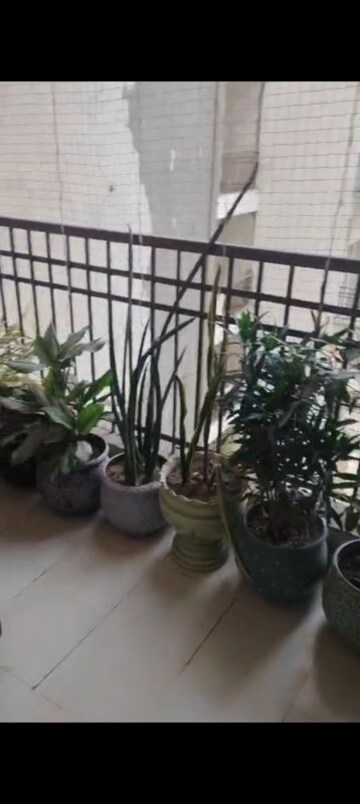 Gym in 2.5 BHK Apartment at Ajnara Le Garden, Sector 16b Greater Noida – for Sale