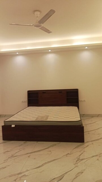 2 BHK Builder Floor For Rent in Saket