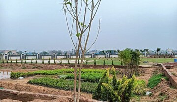  Plot – Exterior View View at Majra - for Sale