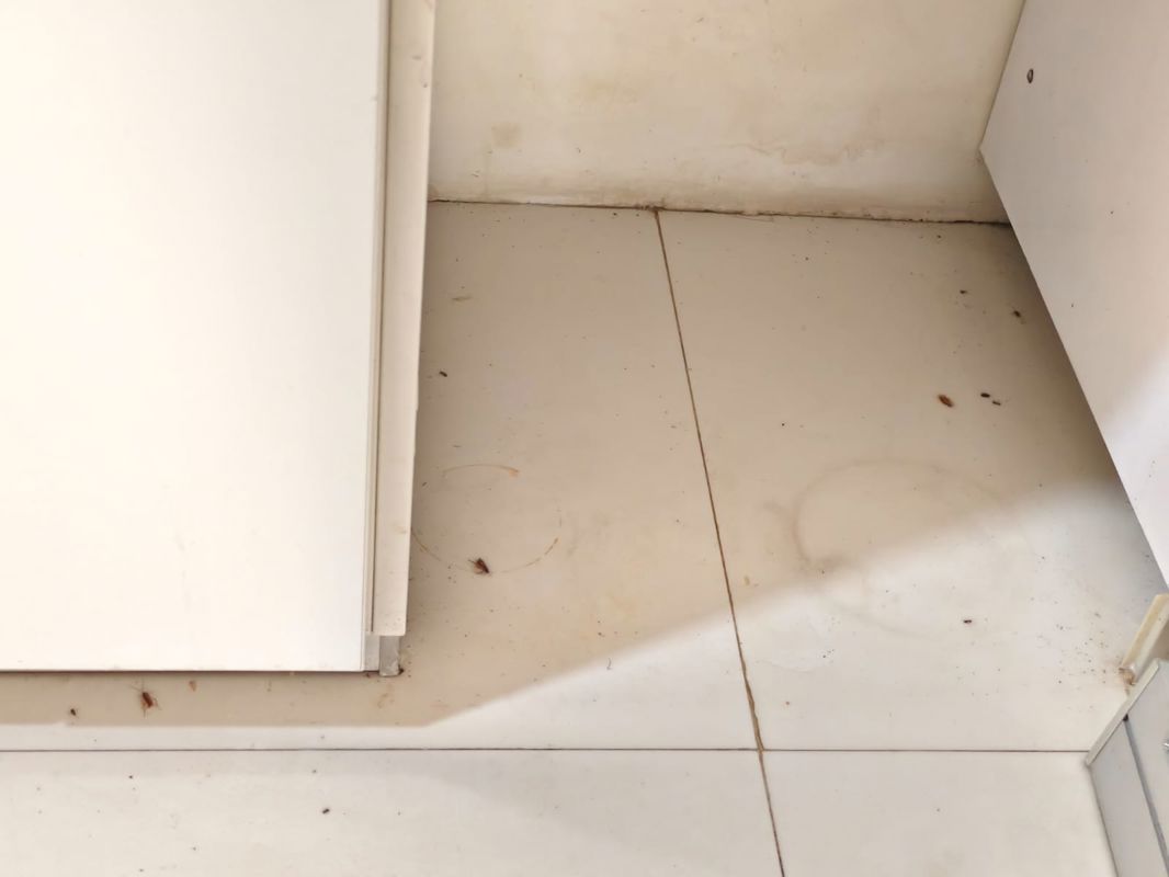2 BHK + Pooja Room Apartment For Rent in Godrej 24