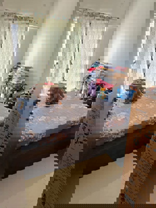 1 BHK 470 Sq.Ft. Apartment in Puranik Aldea Annexo