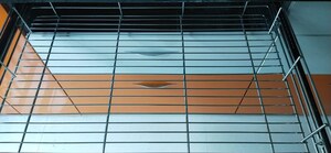 Staircase in 2 BHK Apartment at Ispat Soma Enclave, Santacruz East – for Sale