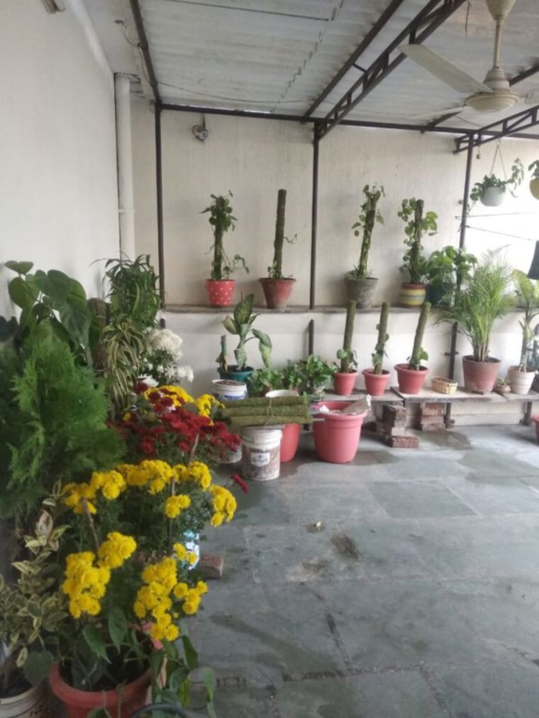  Parking, dlf city phase 3 1 RK 502 Sq.Ft. Builder Floor In Dlf City Phase 3 Gurgaon 10072802