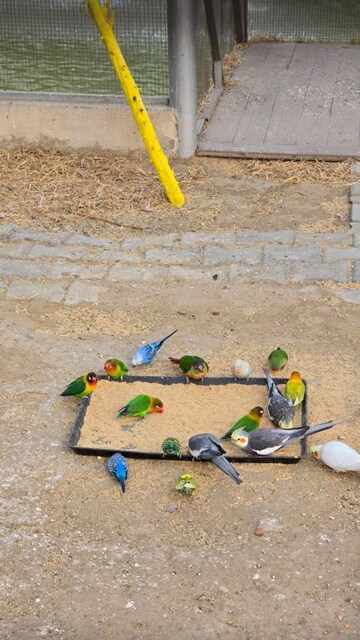  3 BHK Apartment at Landcraft Golf Links, Pandav Nagar – for Sale