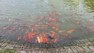  3 BHK Apartment at Landcraft Golf Links, Pandav Nagar – for Sale