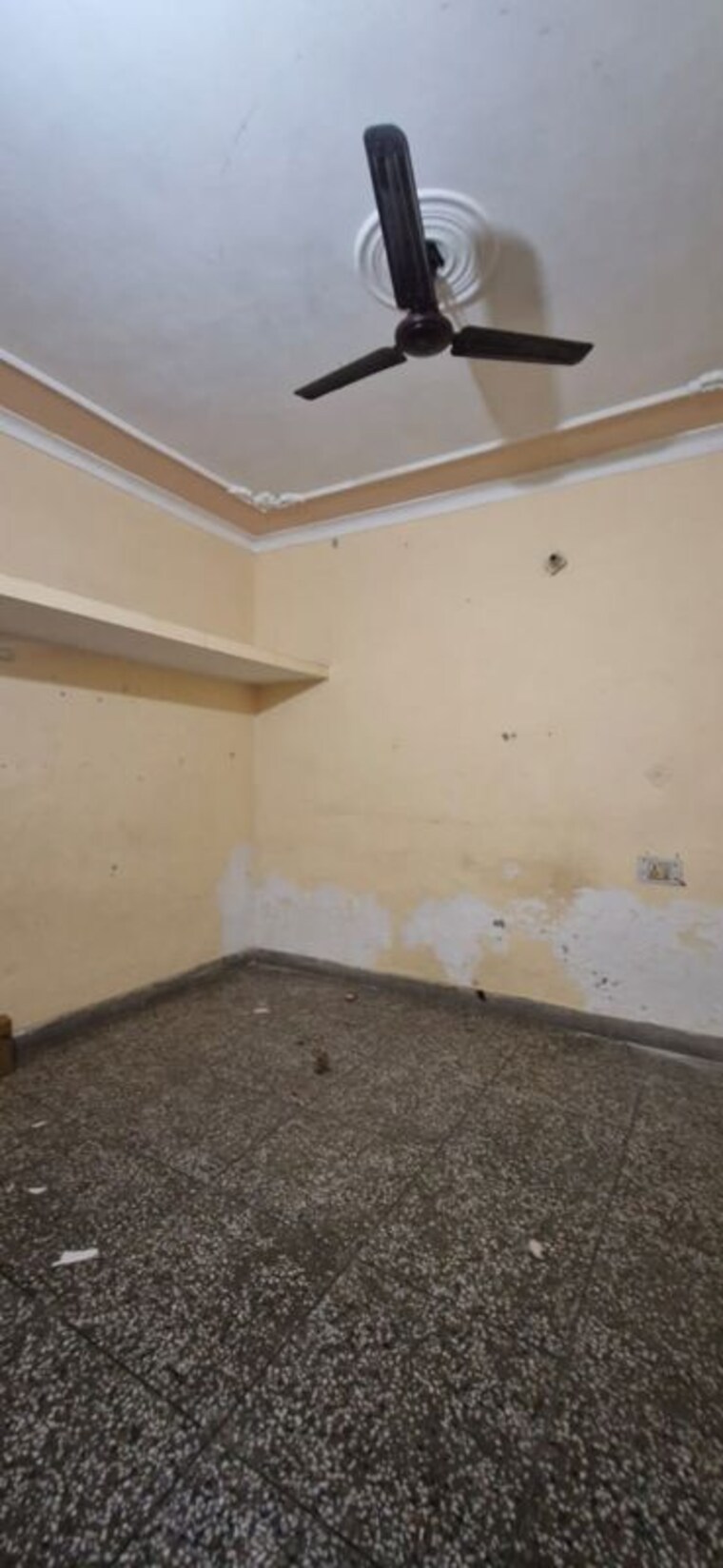 undefined, sector 8 3 Bedroom 160 Sq.Ft. Independent House In Sector 8 Faridabad 10072951