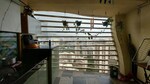 3 BHK 2010 Sq.Ft. Apartment in Soham Tropical Lagoon