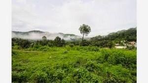 Plot Area in 3 BHK Independent House at Bhimtal – for Sale