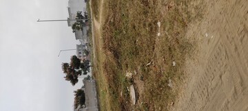Plot Area in  Plot at Mullanpur – for Sale