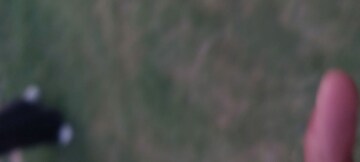  Plot For Sale in Jaypee Kensington Park Plot, Sector 133