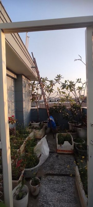 Balcony in 3 BHK Builder Floor at Safdarjung Enclave – for Rent