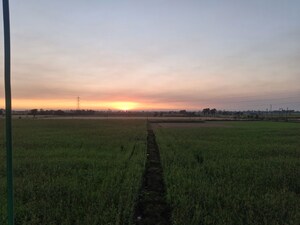 Plot Area in  Plot at Athwalines – for Sale