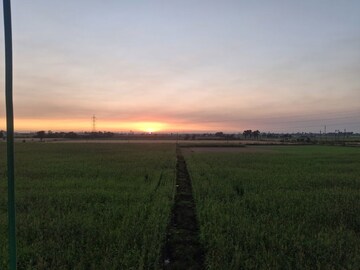 Plot Area in  Plot at Athwalines – for Sale