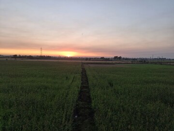 Plot Area in  Land at Pal Gam – for Rent