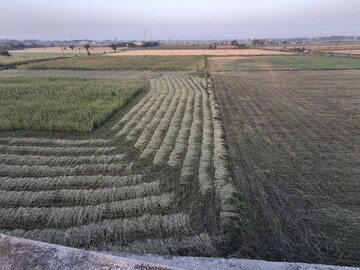  Land – Garden View at Pal Gam - for Rent