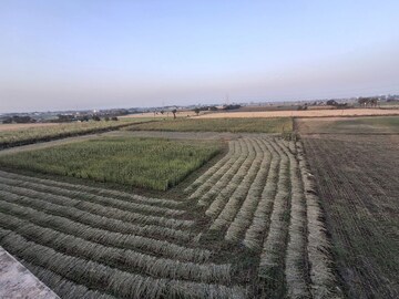  Land – Garden View at Pal Gam - for Rent