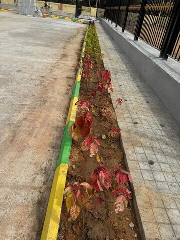   Plot at Hajjala – for Sale