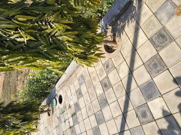  Plot – Exterior View View at Rambha Corona Greens, Sohna Sector 5 - for Sale