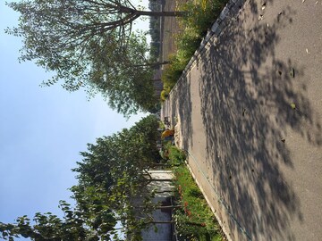  Plot – Exterior View View at Rambha Corona Greens, Sohna Sector 5 - for Sale