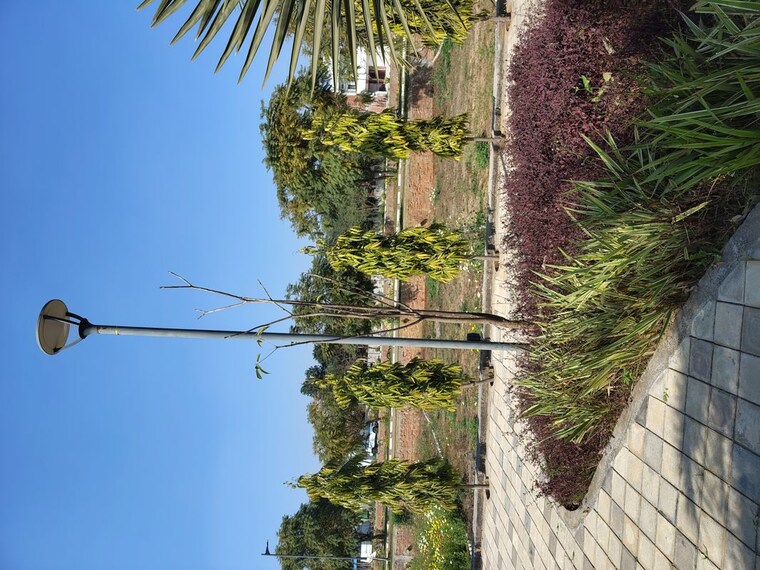 Garden, rambha-corona-greens  164 Sq.Yd. Plot In Sohna Sector 5 Gurgaon 10073869