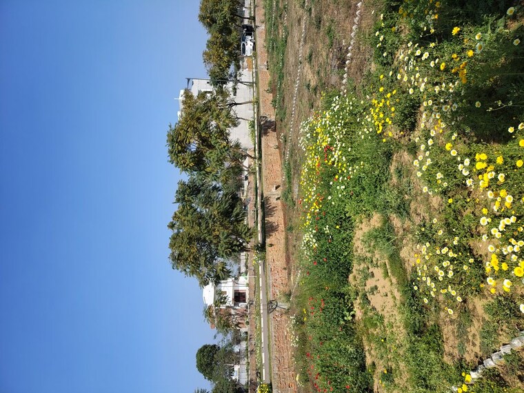 Garden, rambha-corona-greens  165 Sq.Yd. Plot In Sohna Sector 5 Gurgaon 10073884