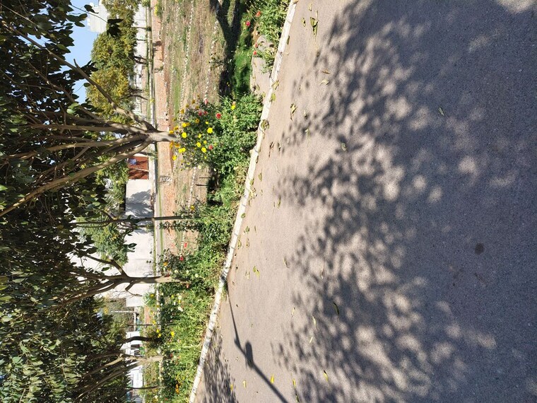 Exterior View, rambha-corona-greens  165 Sq.Yd. Plot In Sohna Sector 5 Gurgaon 10073884