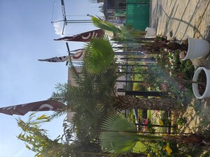  Plot – Garden View at ROF Normanton Park, Sohna Sector 36 - for Sale