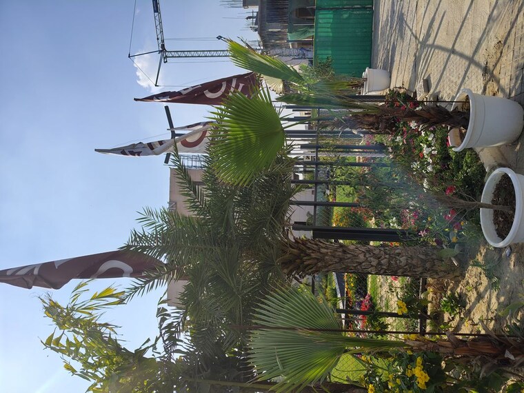 Garden, rof-normanton-park  150 Sq.Yd. Plot In Sohna Sector 36 Gurgaon 10073913