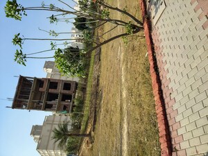 Plot – Exterior View View at ROF Normanton Park, Sohna Sector 36 - for Sale