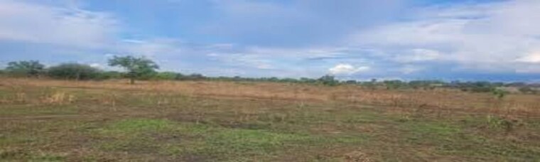 undefined, shankarpalli  165 Sq.Yd. Plot In Shankarpalli Hyderabad 10073957