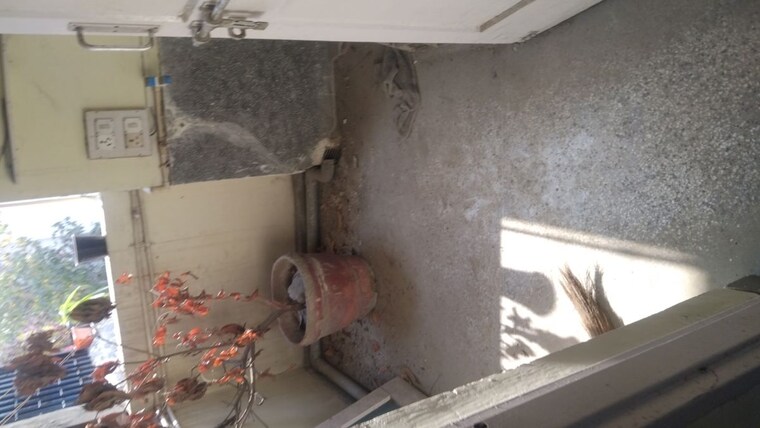 Bathroom, arun-vihar-sector-37 1 RK 200 Sq.Ft. Apartment In Sector 37 Noida 10074009