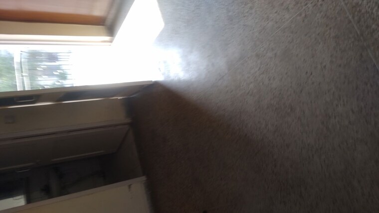 undefined, arun-vihar-sector-37 1 RK 200 Sq.Ft. Apartment In Sector 37 Noida 10074009