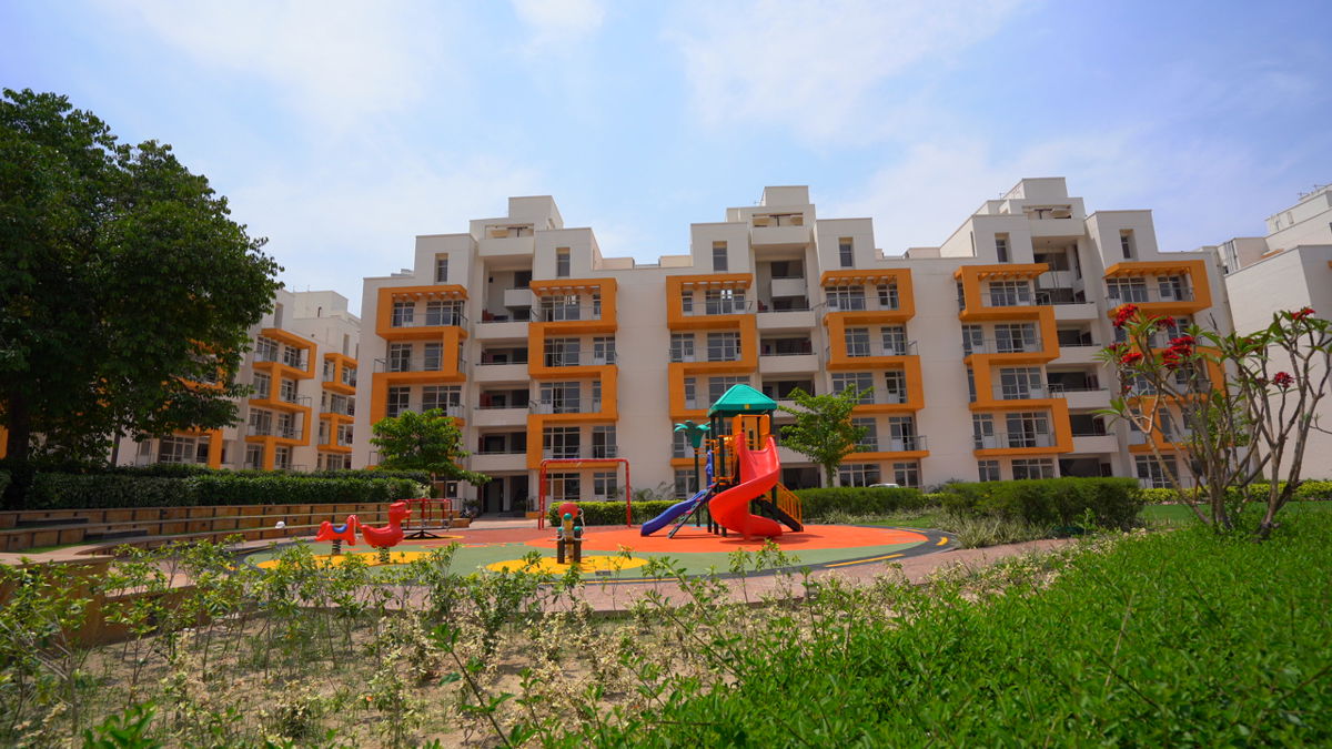 3 BHK Apartment For Rent in TDI City Kundli