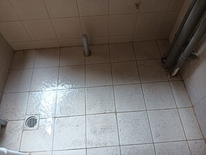 Bathroom in 3 BHK Apartment at Pride Purple Park Titan, Hinjewadi – for Rent