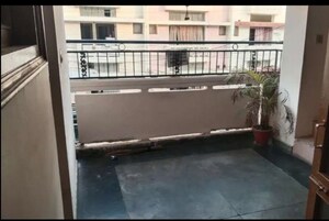 Balcony in 3 BHK Builder Floor at Sector 35 – for Rent