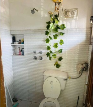 Bathroom in 3 BHK Builder Floor at Sector 38 – for Rent