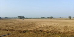 Plot For Sale in Shadnagar