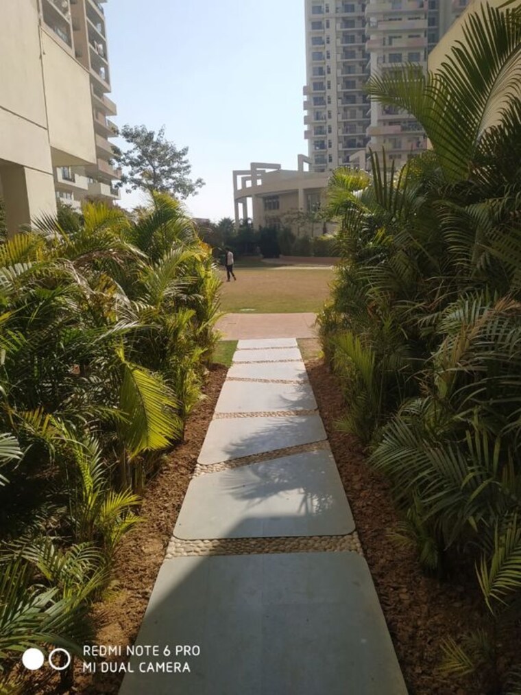 Garden, signature-global-synera 3 Bedroom 835 Sq.Ft. Apartment In Sector 81 Gurgaon 10074387