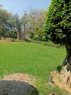 2 BHK Apartment – Garden View at Signature Global Synera, Sector 81 - for Rent