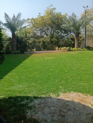 2 BHK Apartment – Garden View at Signature Global Synera, Sector 81 - for Rent