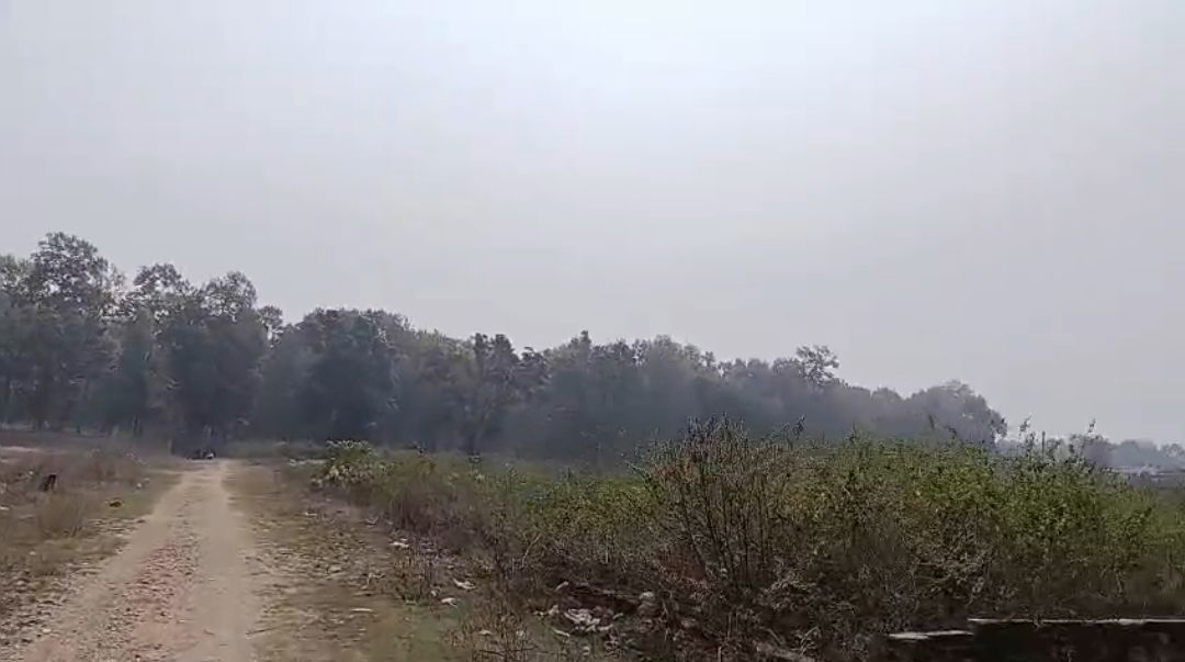 Plot For Sale in Naugaon