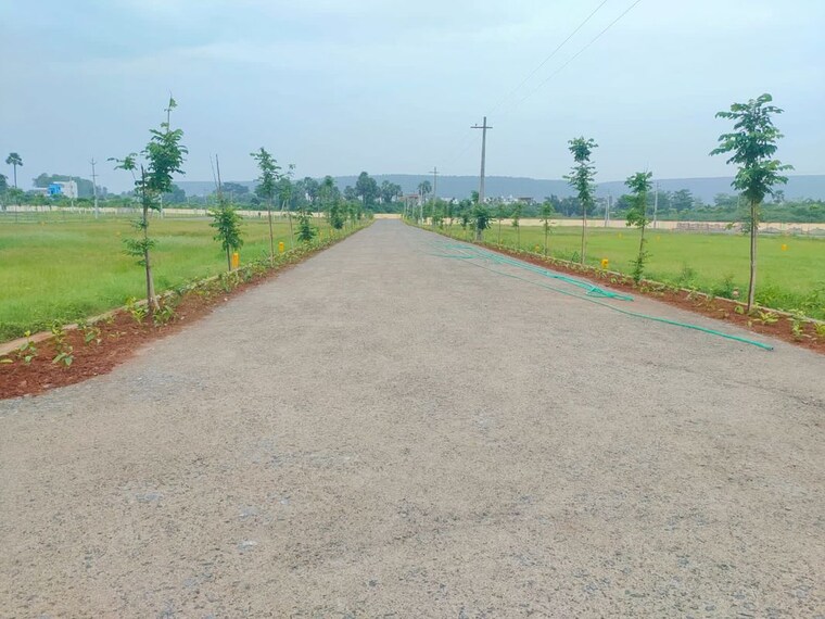 undefined, rushikonda  220 Sq.Yd. Plot In Rushikonda Vizag 10076202