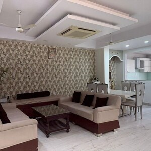 Team Area in 3 BHK Builder Floor at Sector 15 – for Rent