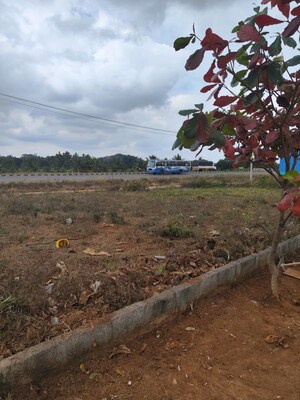 Plot Area in  Plot at Jigani – for Sale