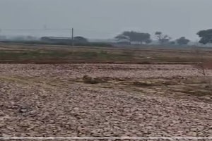 Plot Area in  Plot at Tappal – for Sale