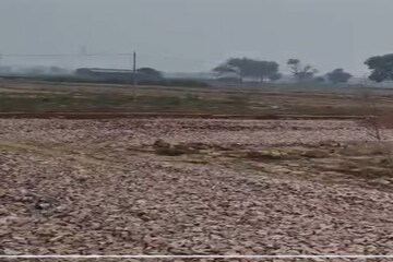 Plot Area in  Plot at Tappal – for Sale