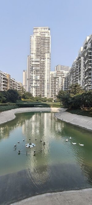 Swimming Pool in 3 BHK Apartment at M3M Golf Estate, Sector 65 – for Rent