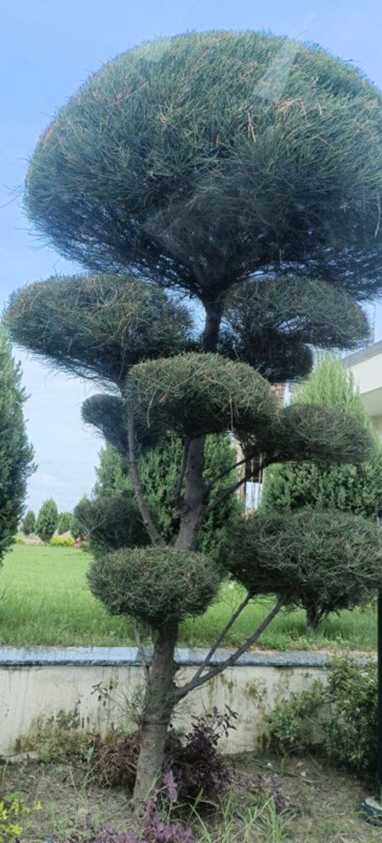 Garden, kailasha-enclave  1500 Sq.Ft. Plot In Sultanpur Road Lucknow 10079191